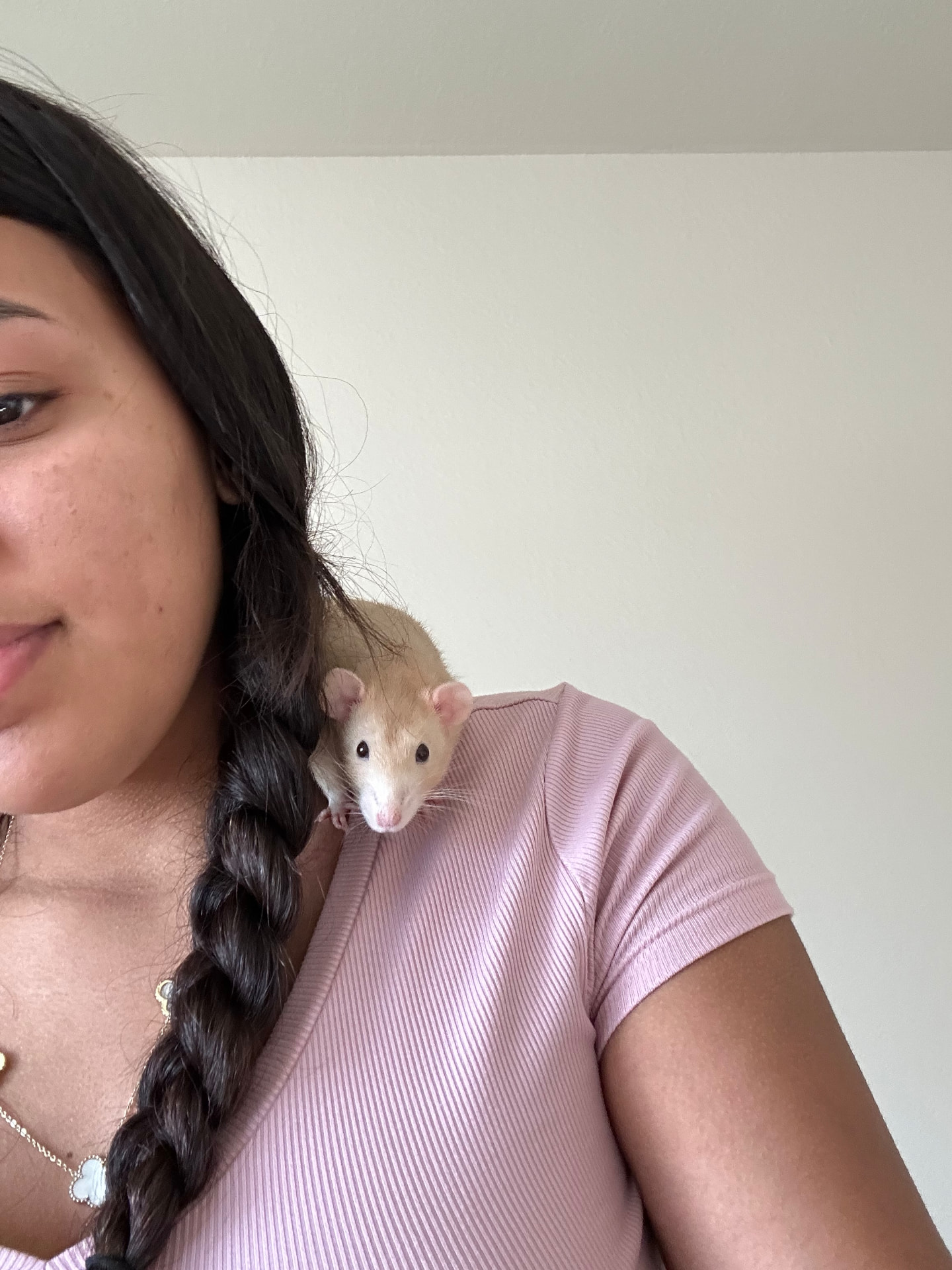 A pet rat sitting on Karolyn's shoulder